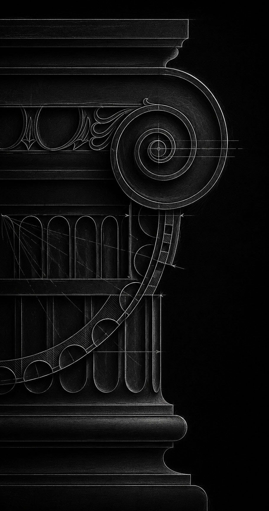 Ionic column capital — architectural line drawing